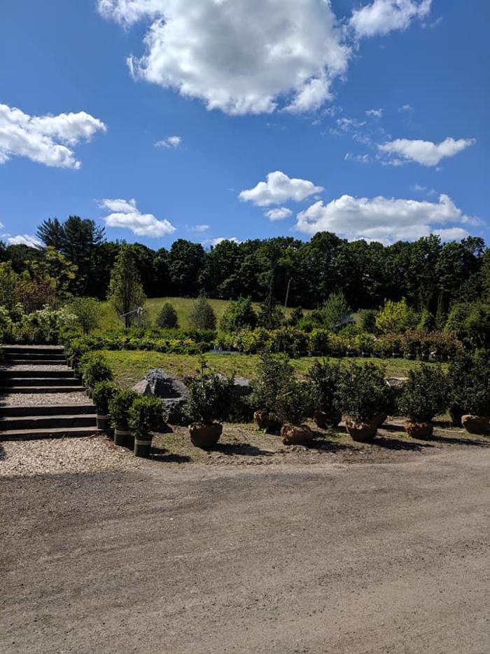 Young's at Three Rivers - Woodbury, CT