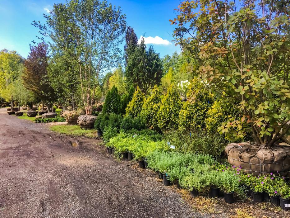 Young's at Three Rivers - Woodbury, CT