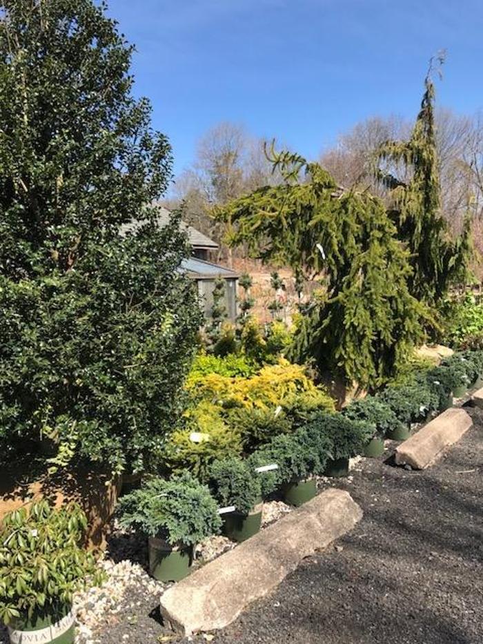 Young's at Three Rivers - Woodbury, CT