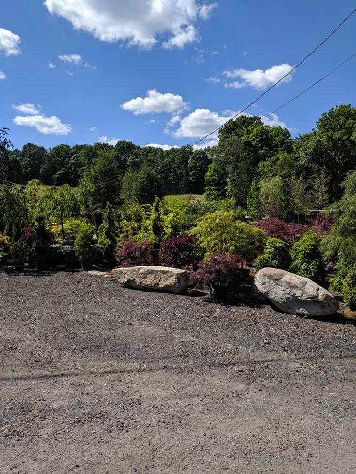 Young's at Three Rivers - Woodbury, CT