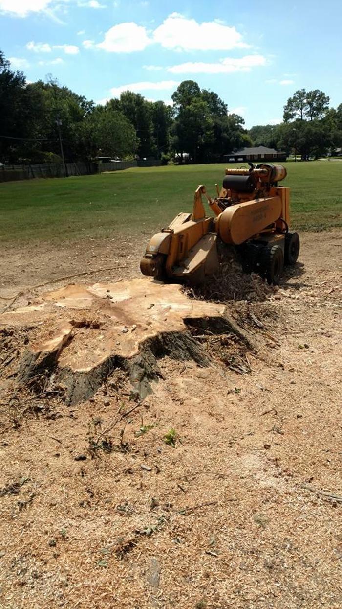 Specialty Tree Care - Shreveport, LA