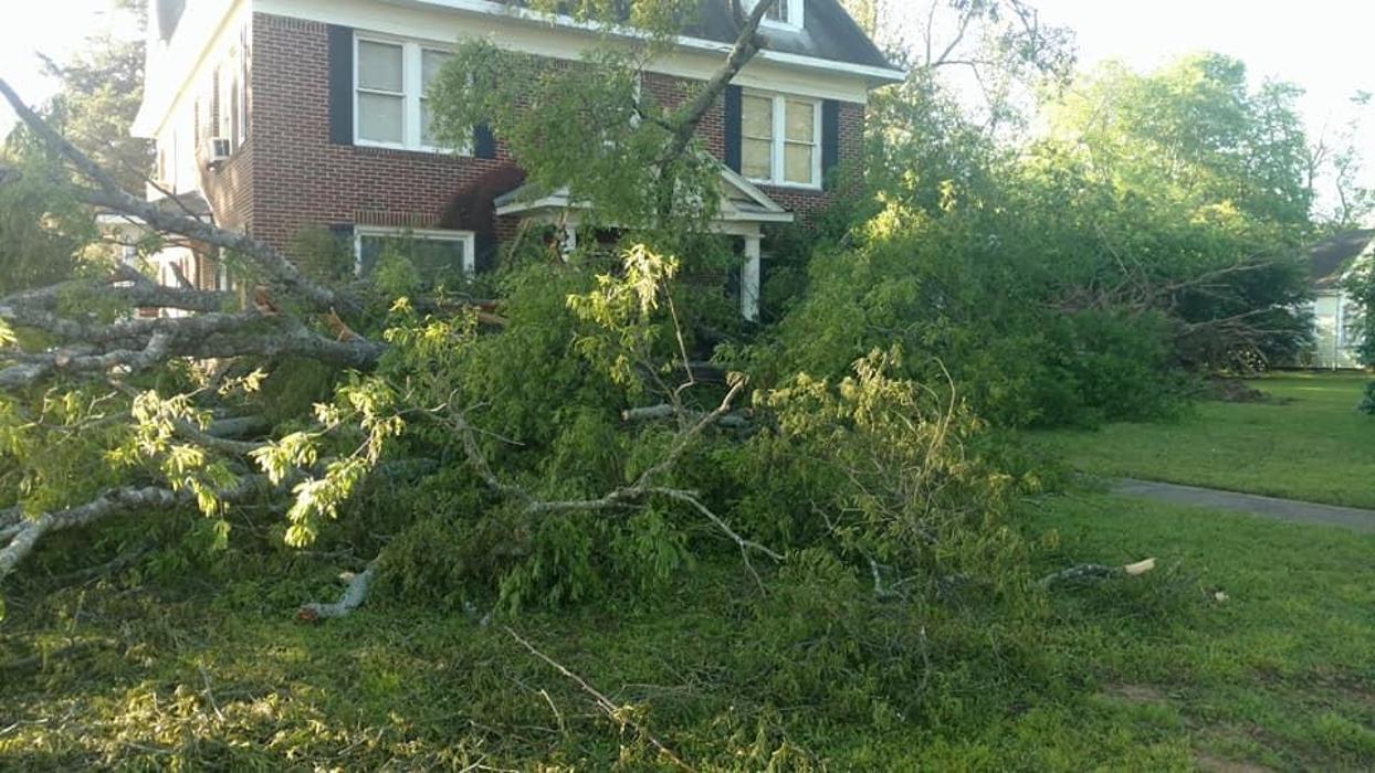 Specialty Tree Care - Shreveport, LA