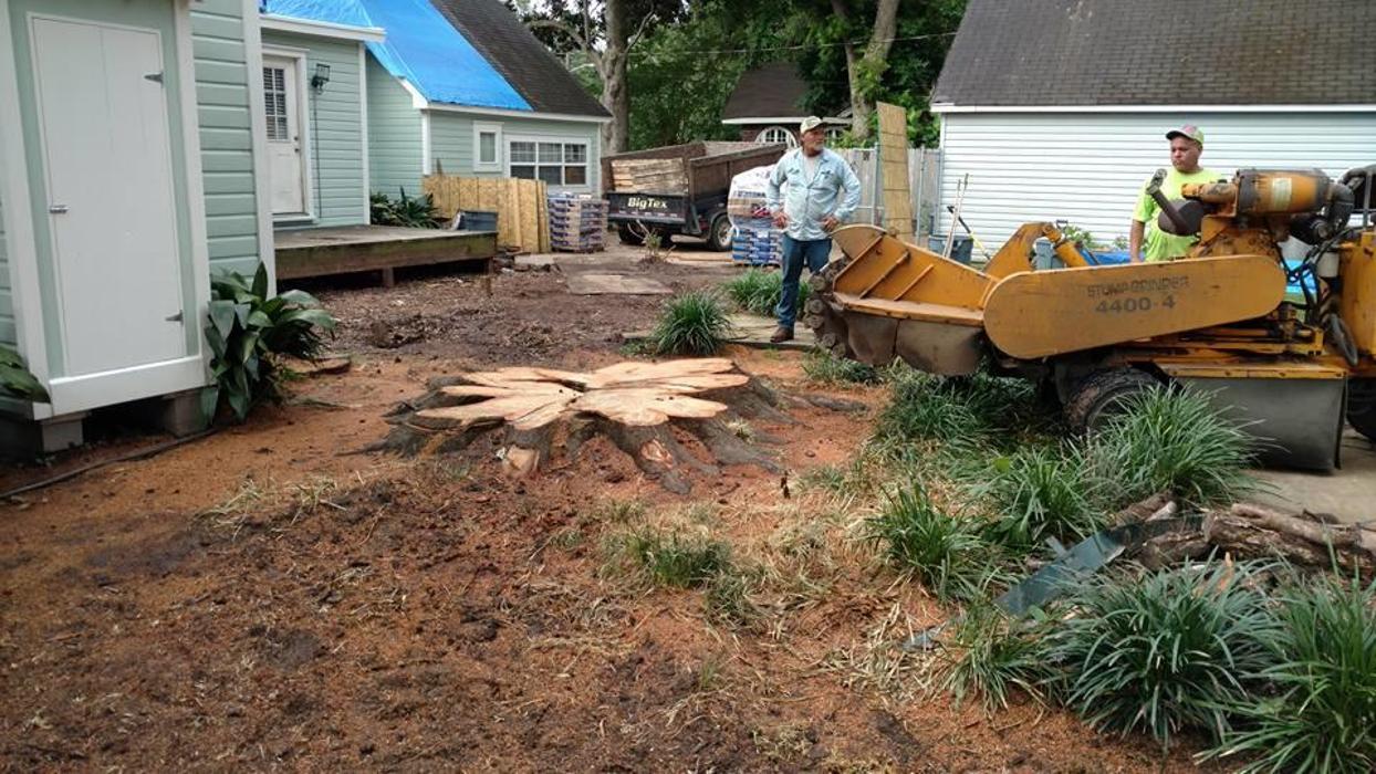 Specialty Tree Care - Shreveport, LA