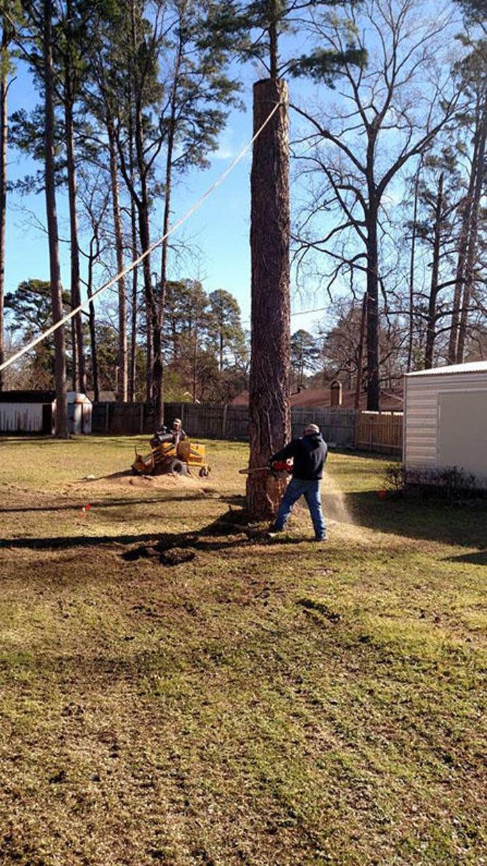 Specialty Tree Care - Shreveport, LA