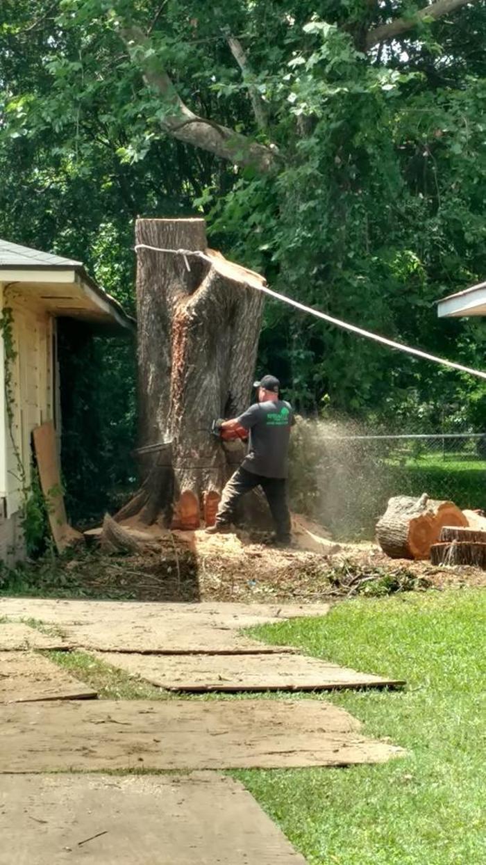 Specialty Tree Care - Shreveport, LA