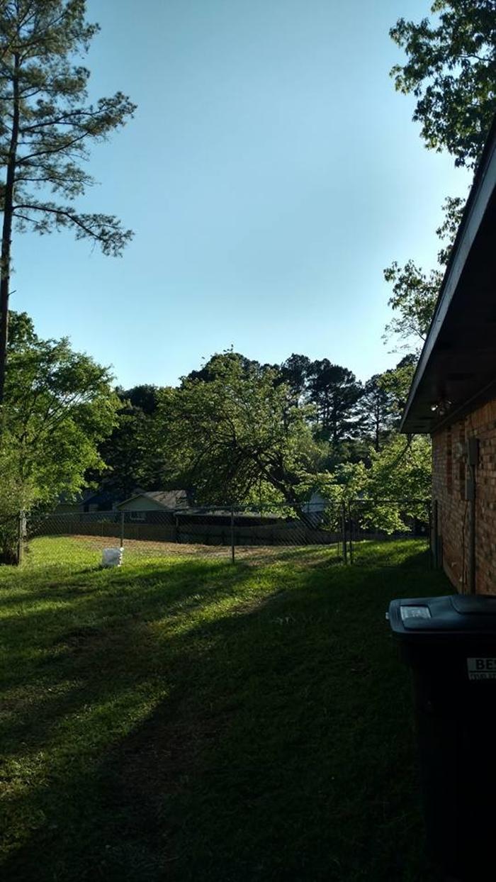 Specialty Tree Care - Shreveport, LA