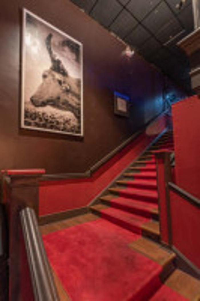 The Grouse Room - Lafayette, LA