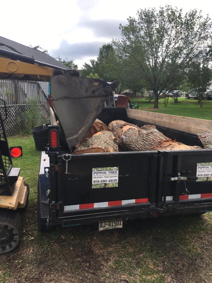 Pippin Tree Service - Clayton, NC