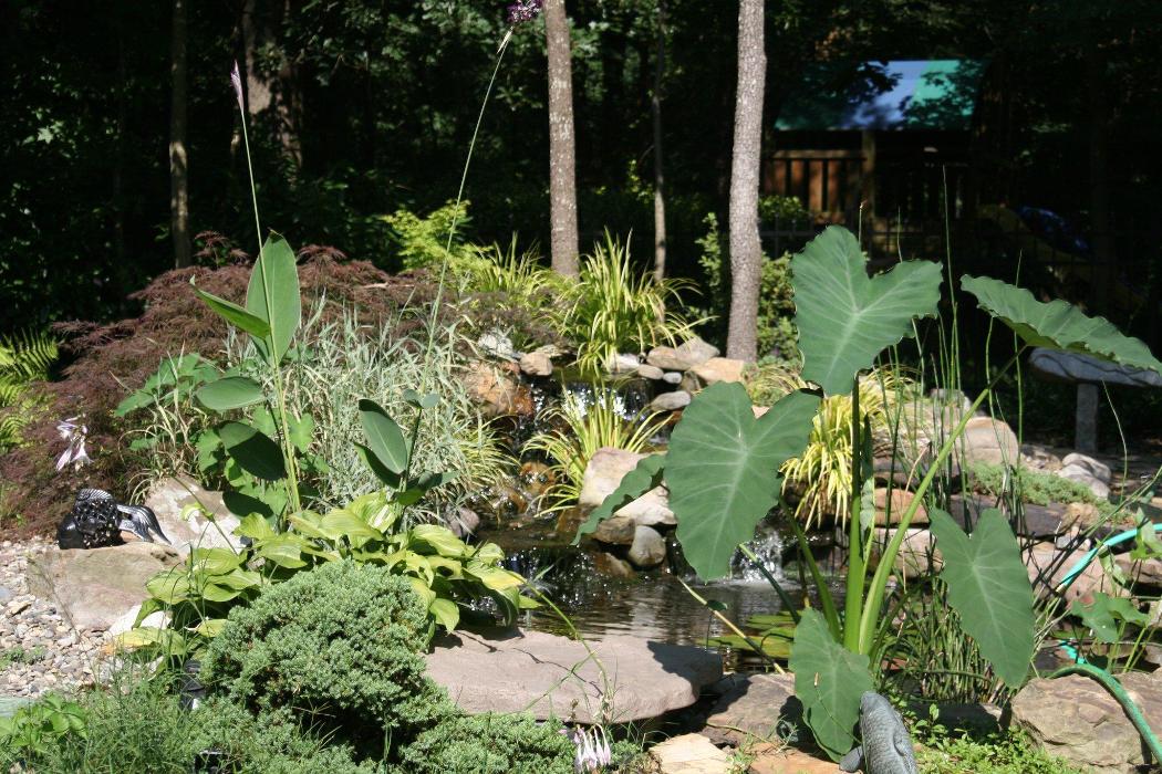 Barnhardt Landscaping & Design, Inc. - Matthews, NC