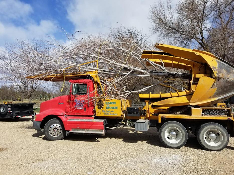 Melad Tree Farm - Nampa, ID