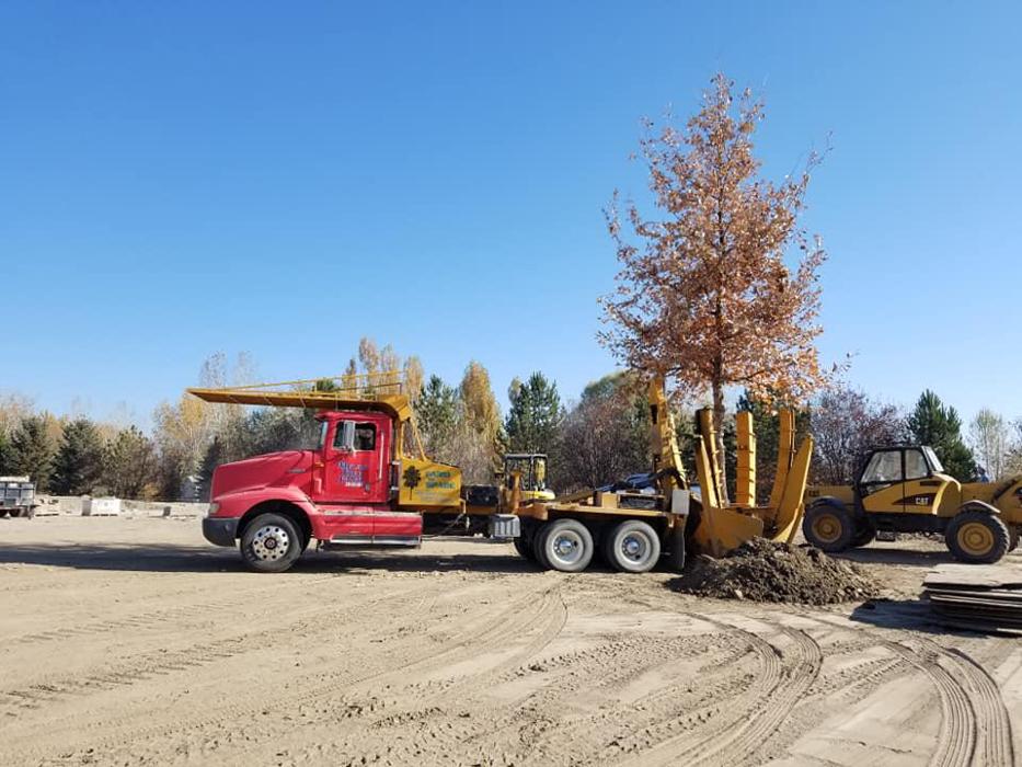 Melad Tree Farm - Nampa, ID