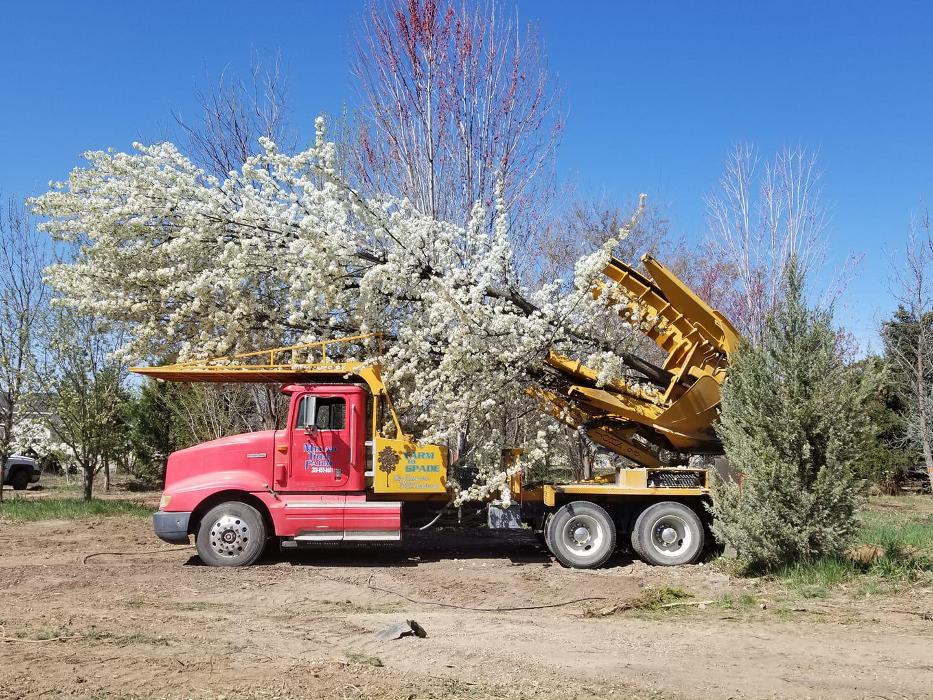 Melad Tree Farm - Nampa, ID