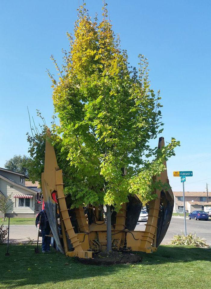 Melad Tree Farm - Nampa, ID