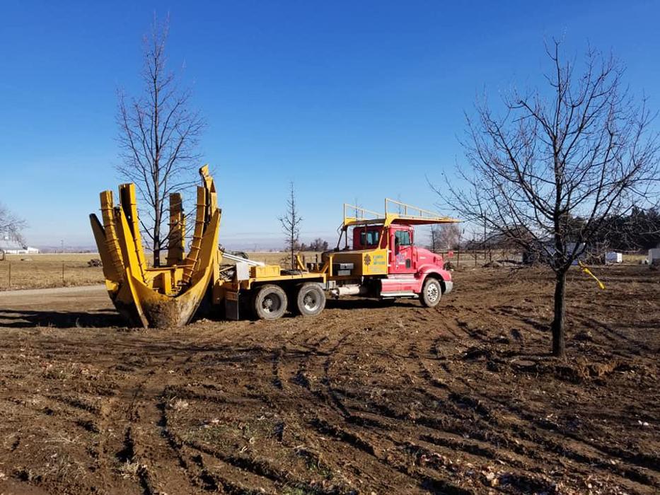 Melad Tree Farm - Nampa, ID