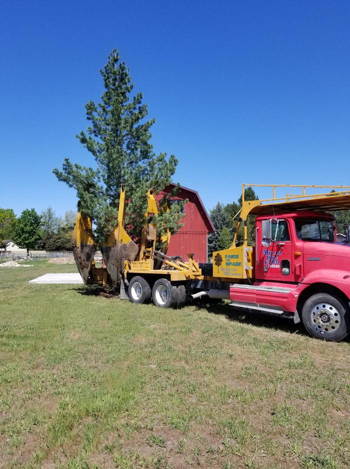 Melad Tree Farm - Nampa, ID