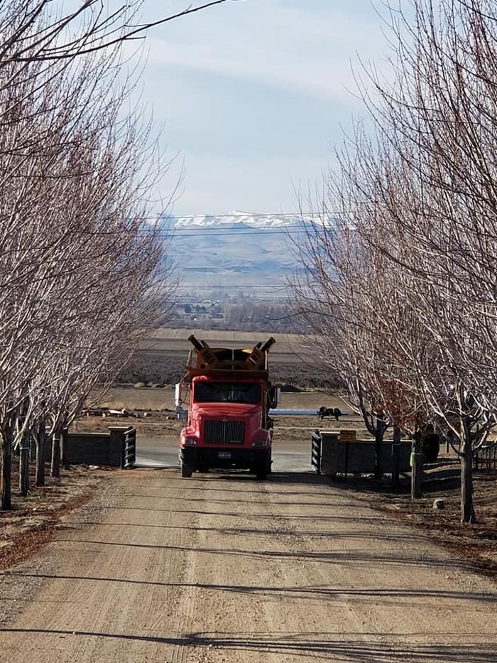 Melad Tree Farm - Nampa, ID