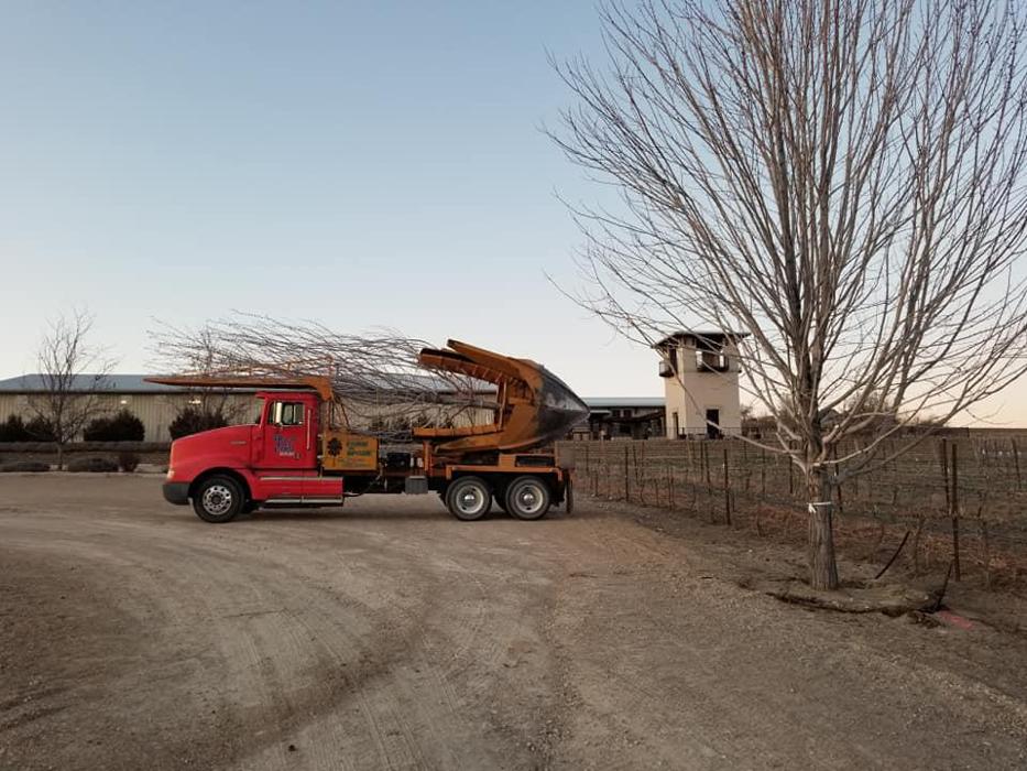 Melad Tree Farm - Nampa, ID