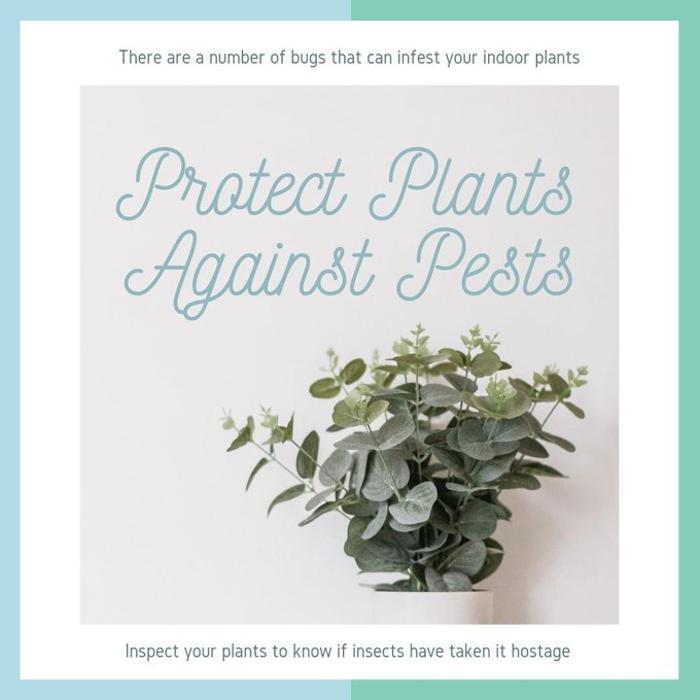 Upstate Pest Management, LLC - Gaffney, SC