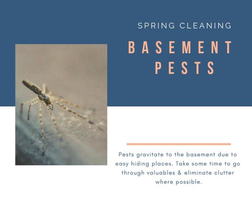 Upstate Pest Management, LLC - Gaffney, SC
