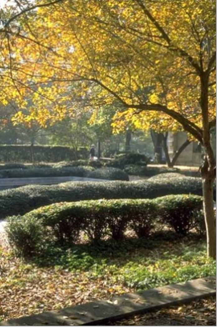 Arnold Associates - Princeton, NJ