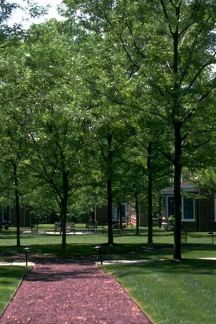 Arnold Associates - Princeton, NJ