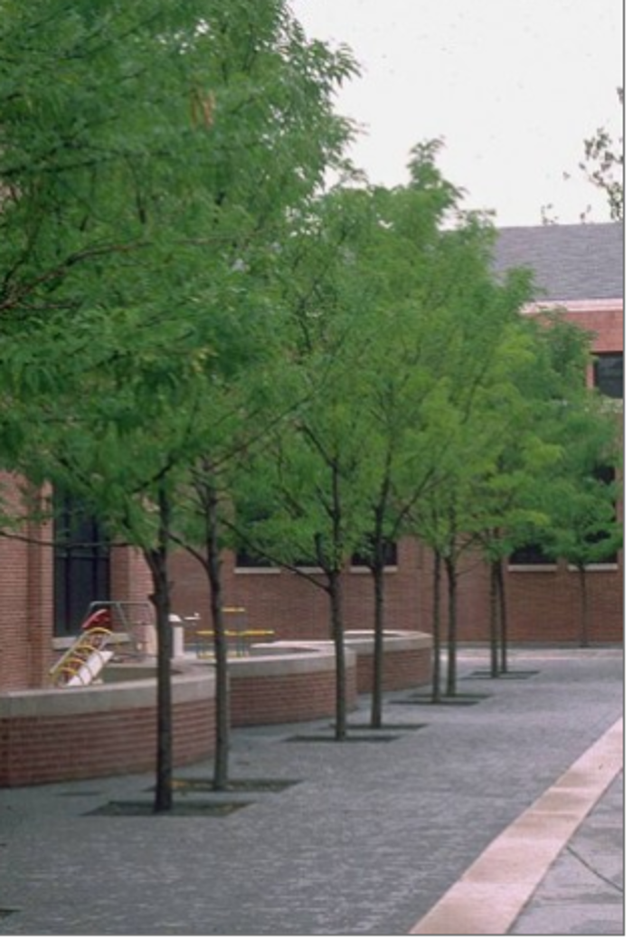 Arnold Associates - Princeton, NJ