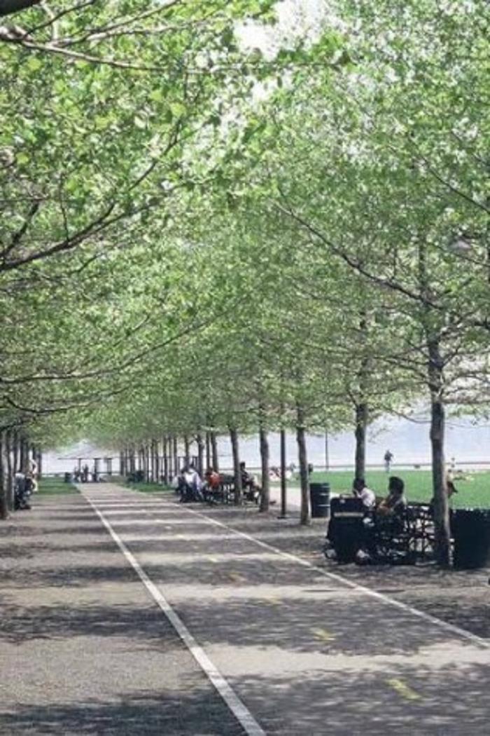 Arnold Associates - Princeton, NJ