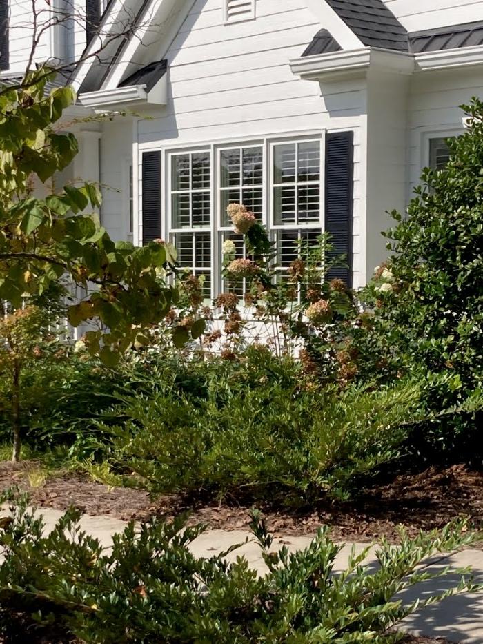 Commonwealth Custom Shutters & Blinds, LLC - Lexington, KY