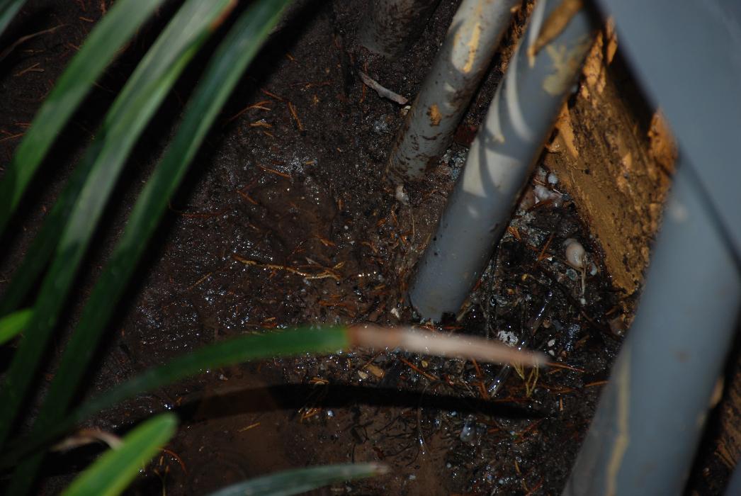 PTJ Home Defenders - McKinney, TX