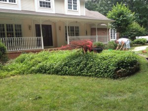 Image 6 | Green Zebra Landscaping