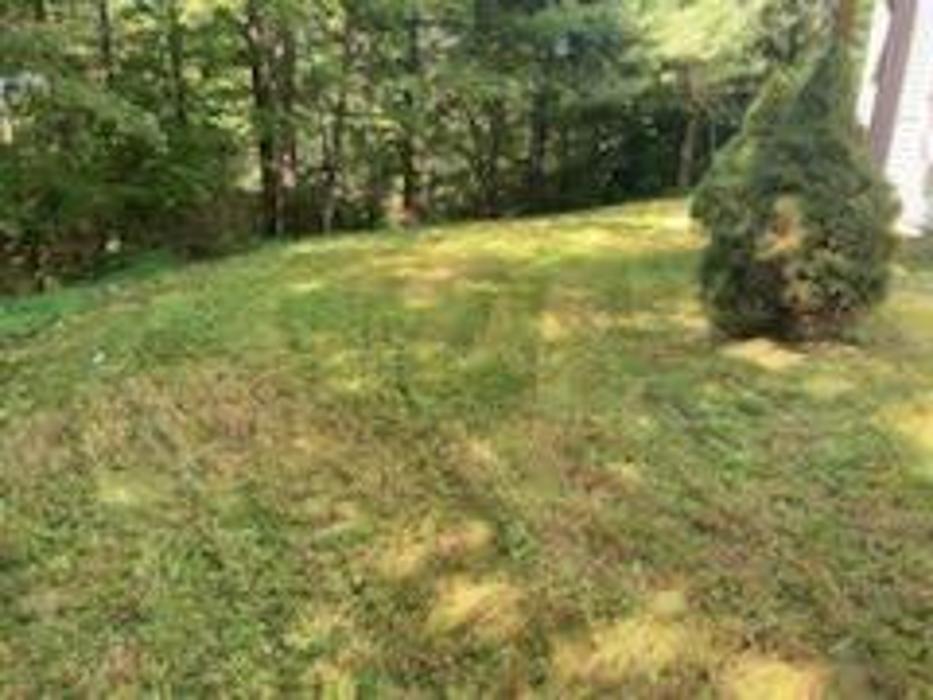 Good Neighbor Mowing and Lawn Care - Brevard, NC