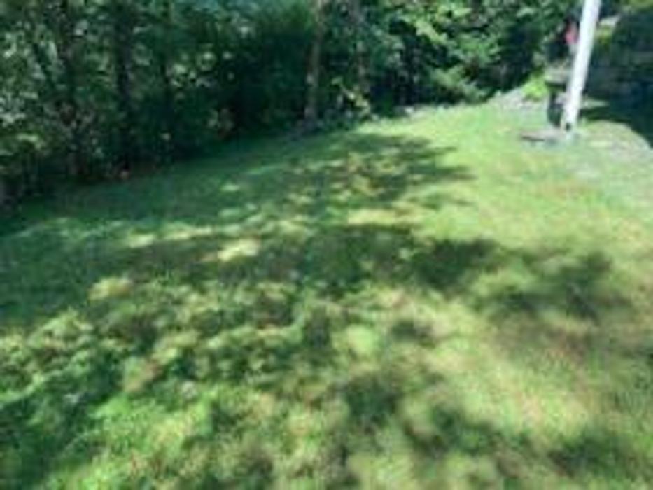 Good Neighbor Mowing and Lawn Care - Brevard, NC