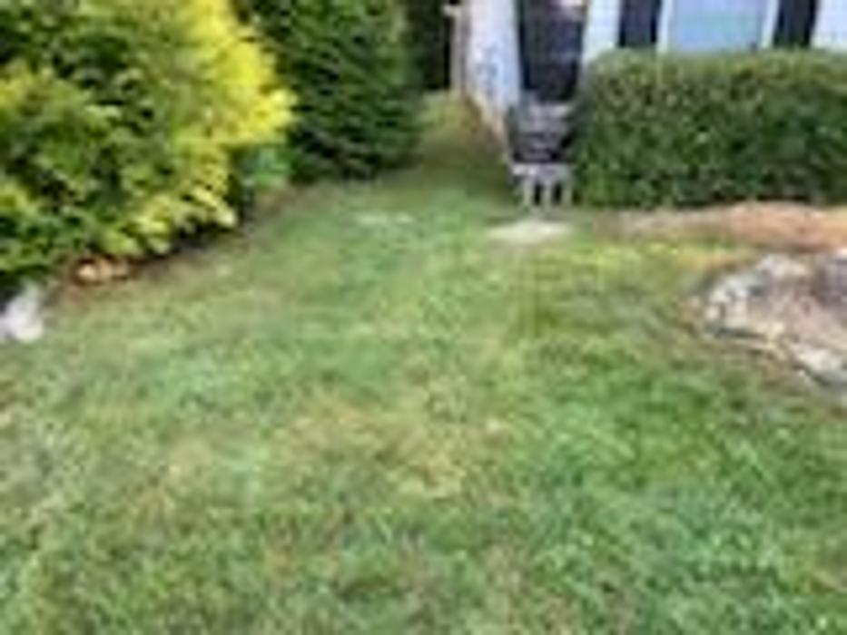 Good Neighbor Mowing and Lawn Care - Brevard, NC