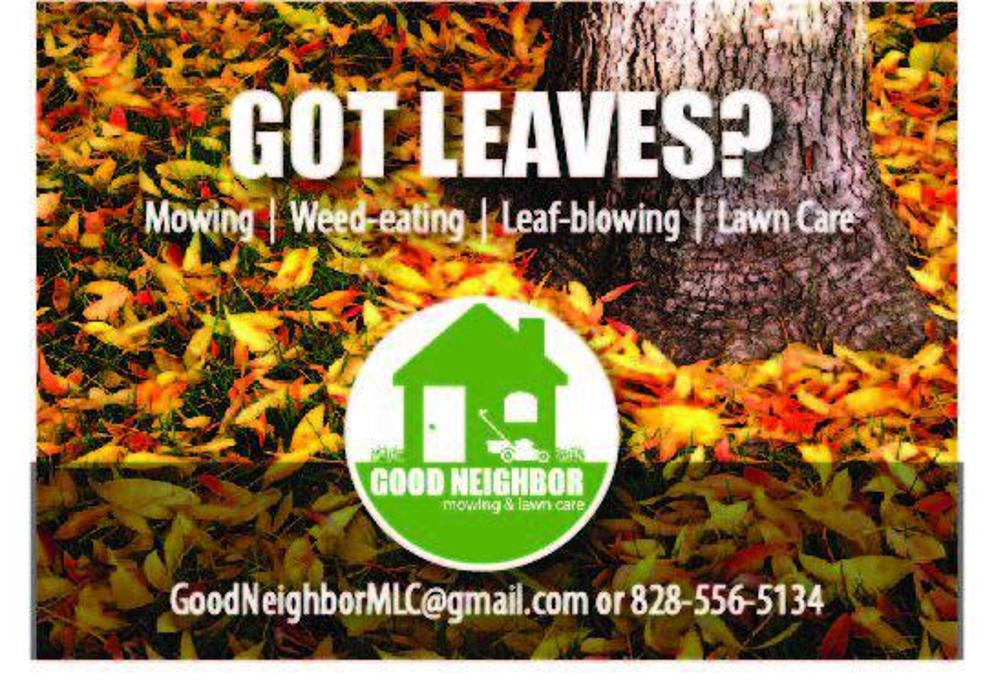 Good Neighbor Mowing and Lawn Care - Brevard, NC