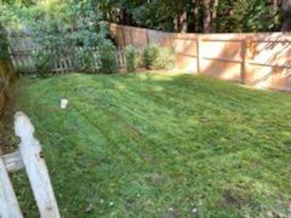 Good Neighbor Mowing and Lawn Care - Brevard, NC