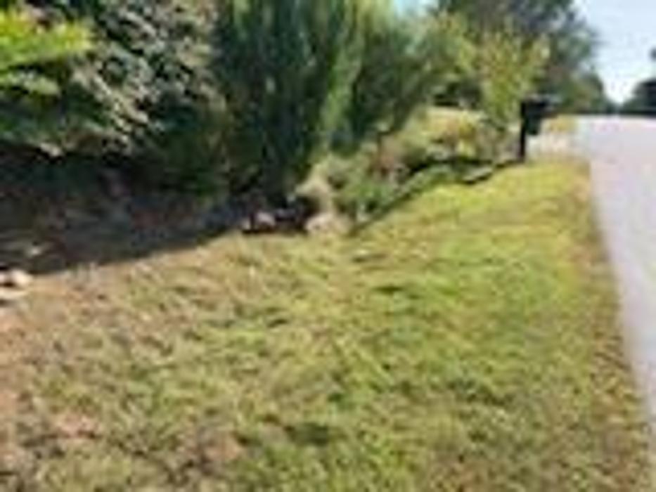 Good Neighbor Mowing and Lawn Care - Brevard, NC