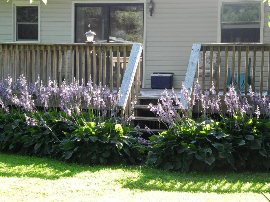 Good Neighbor Mowing and Lawn Care - Brevard, NC