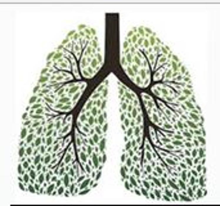 COPD Respiratory & Mobility Solutions - Cheyenne, WY