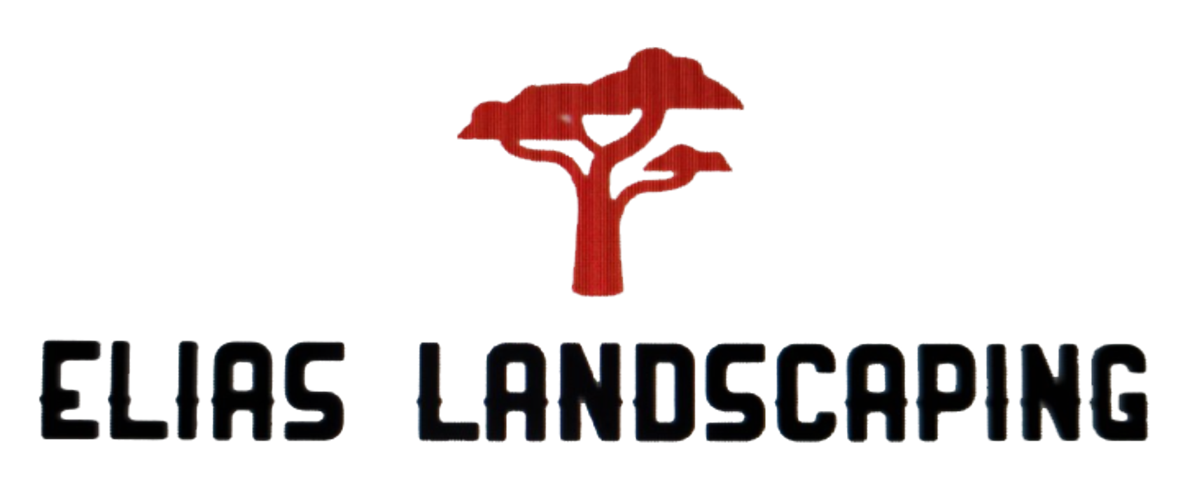 Elias Landscaping Services LLC - Aurora, CO