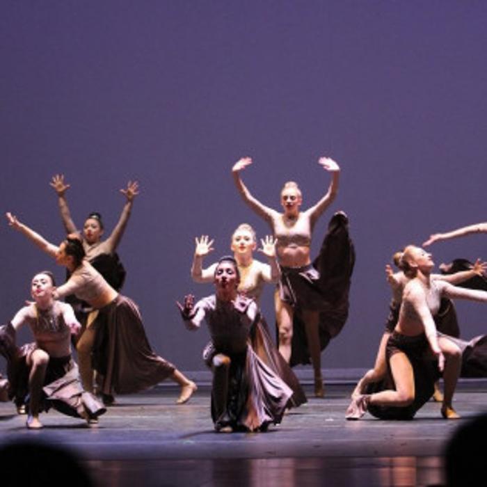 Above The Barre Dance Academy - Davenport, IA