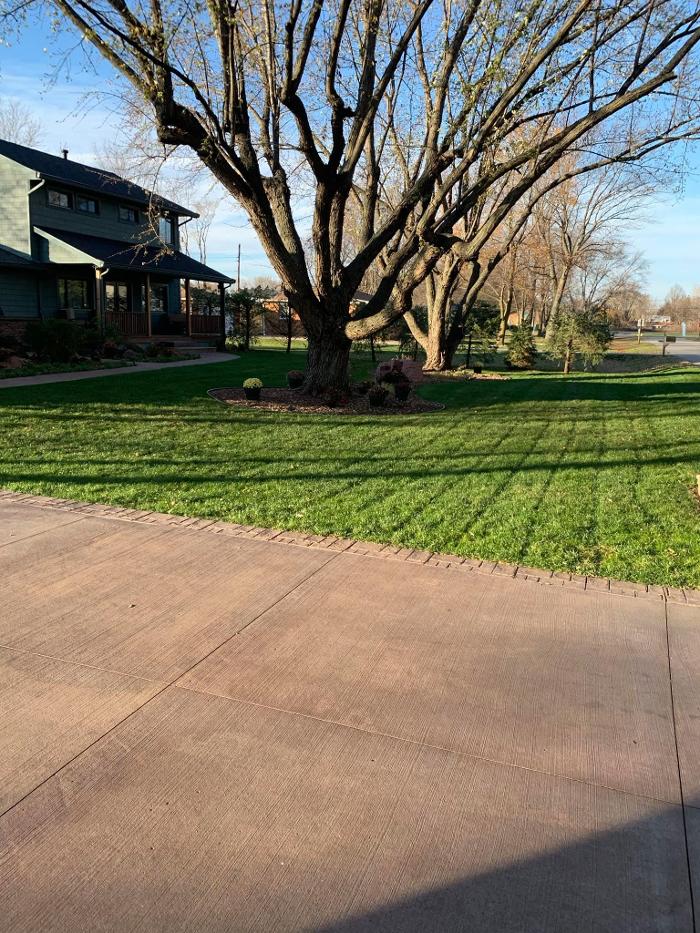 Moreno Lawn Care - Dowagiac, MI