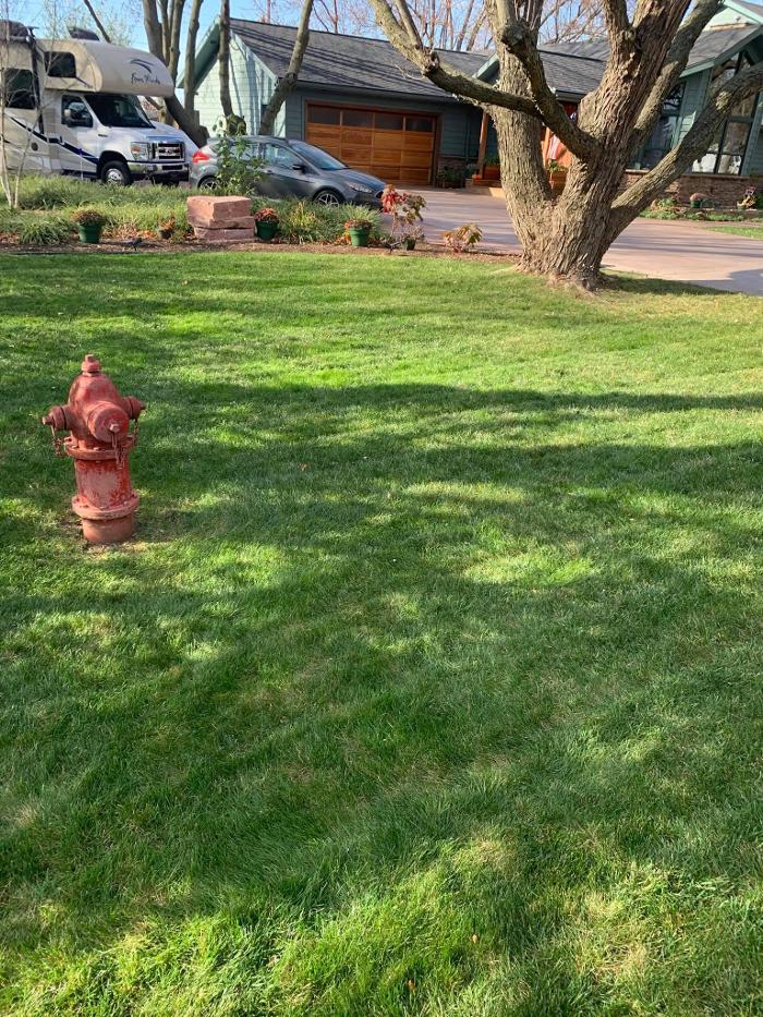 Moreno Lawn Care - Dowagiac, MI