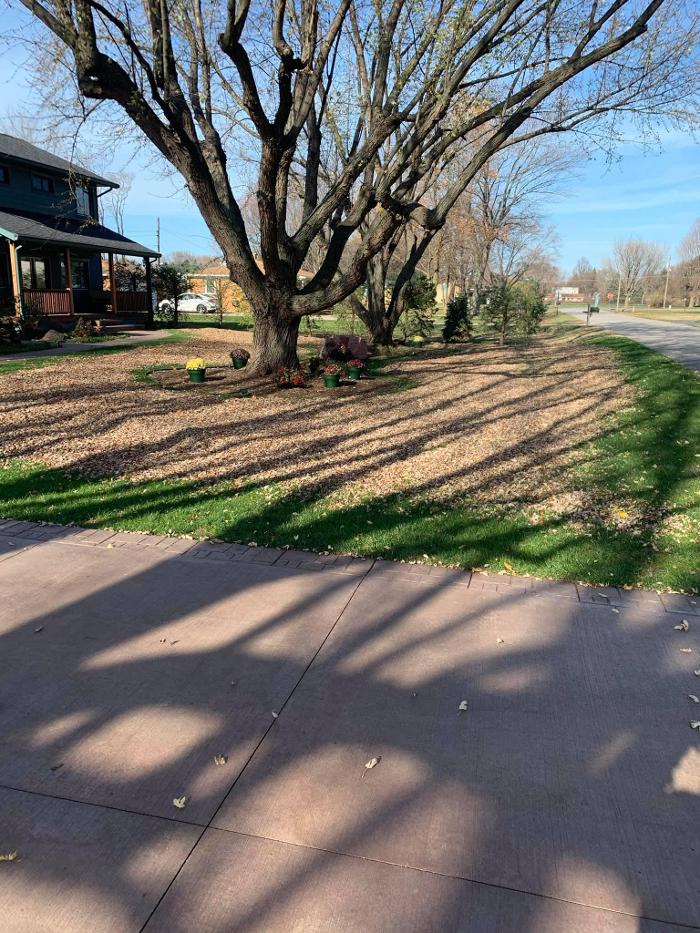 Moreno Lawn Care - Dowagiac, MI