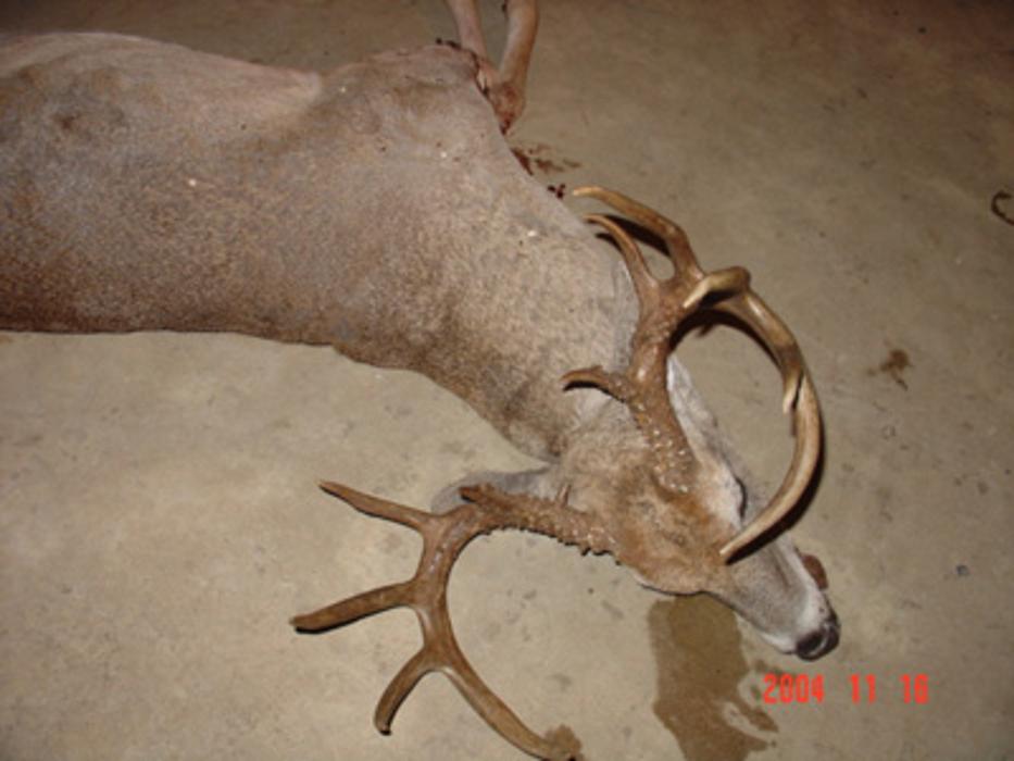 Elkmeadow Game Ranch & Pavilion - De Kalb, TX