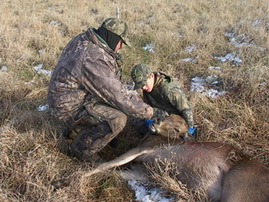 Elkmeadow Game Ranch & Pavilion - De Kalb, TX