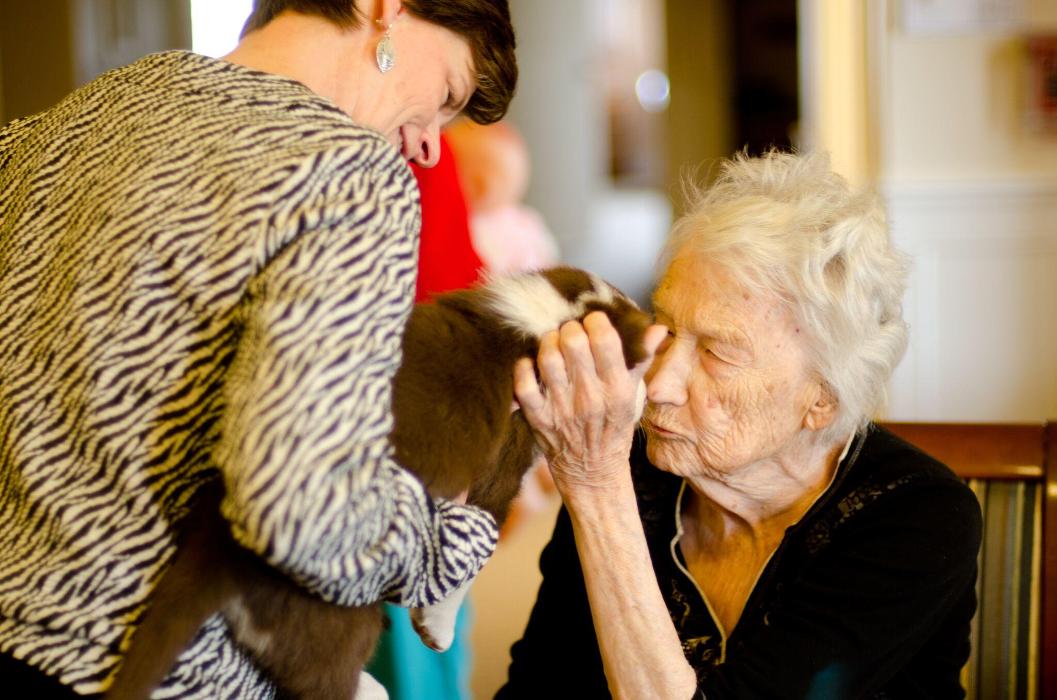 DeSano Place Assisted Living & Memory Care Homes - Shoshone, ID