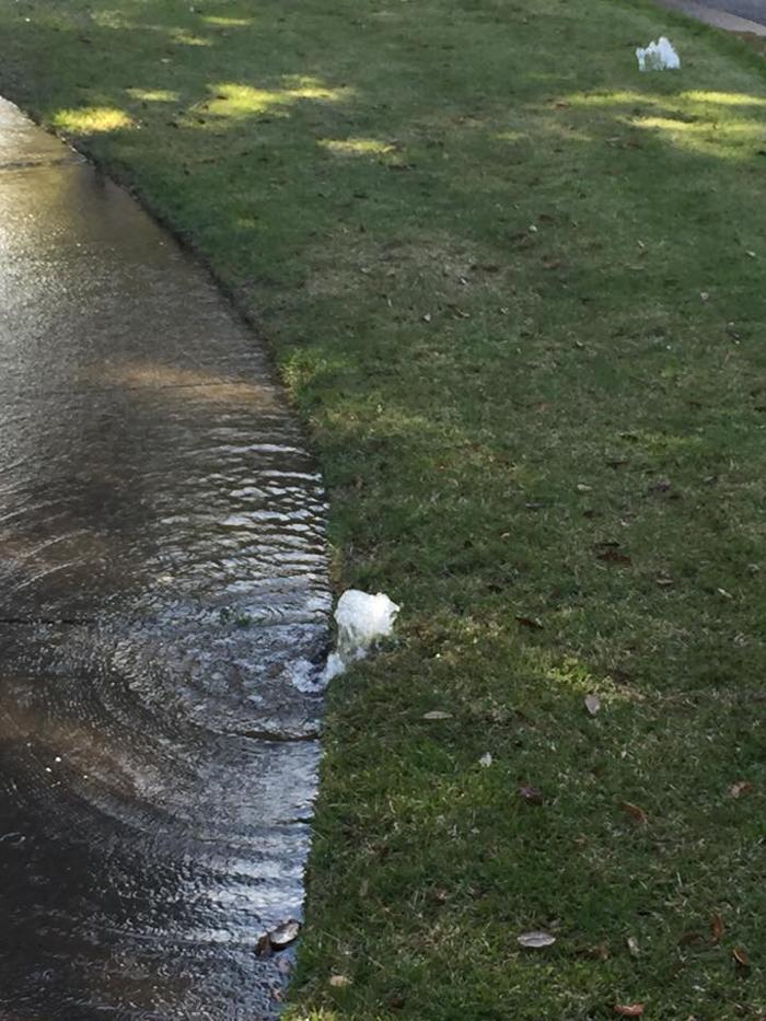 LGM Landscape and Irrigation, LLC - Destin, FL