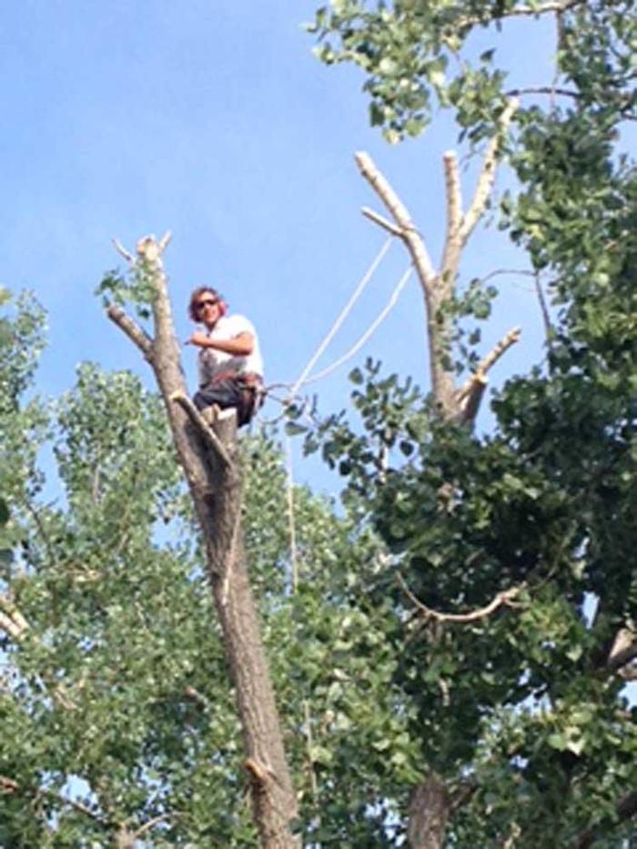 Affordable Tree and Shrub Experts - Colorado Springs, CO