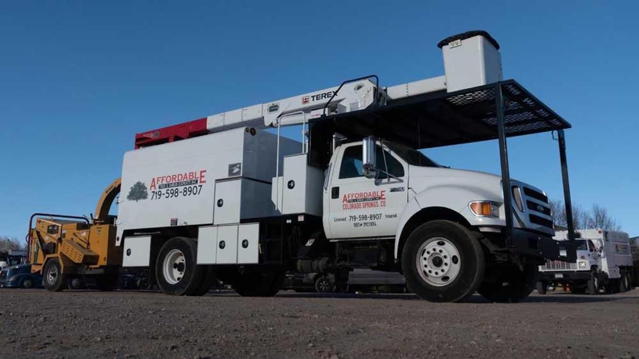 Affordable Tree and Shrub Experts - Colorado Springs, CO