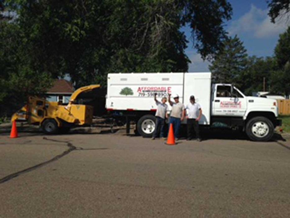 Affordable Tree and Shrub Experts - Colorado Springs, CO